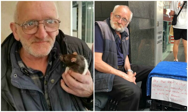 У бездомного из Сиднея украли любимую крысу - полиция города на ушах (8 фото)
