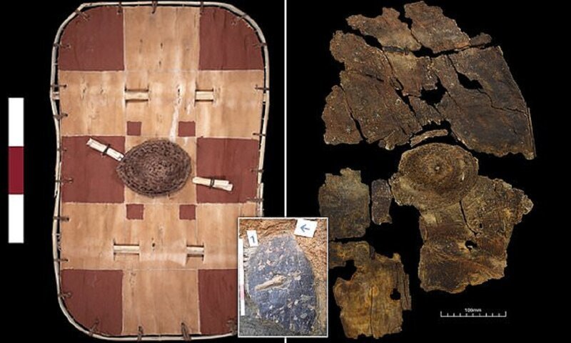 Археологи нашли древний кельтский щит (8 фото)