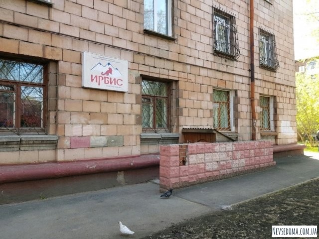 В Кемерово забетонировали вход в альпинистский клуб (5 фото)