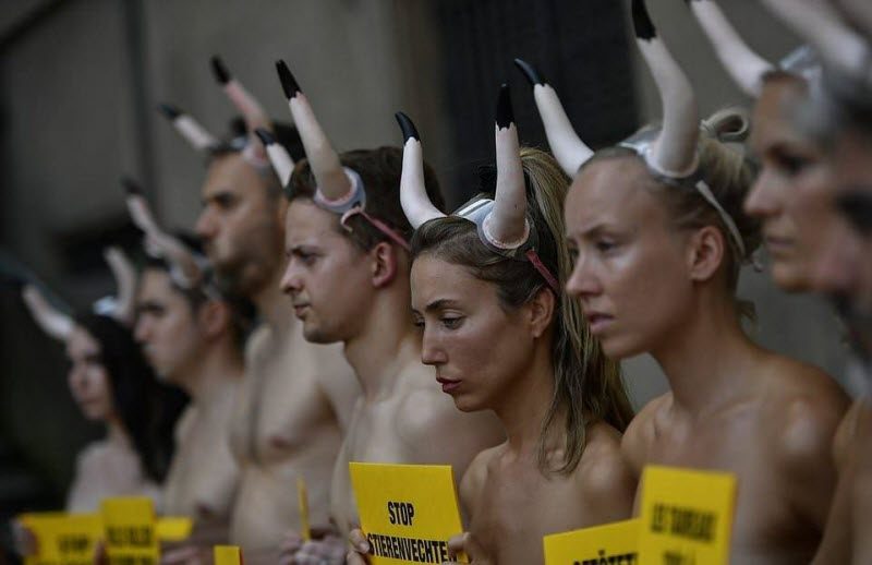 Полуголый протест против корриды (20 фото)