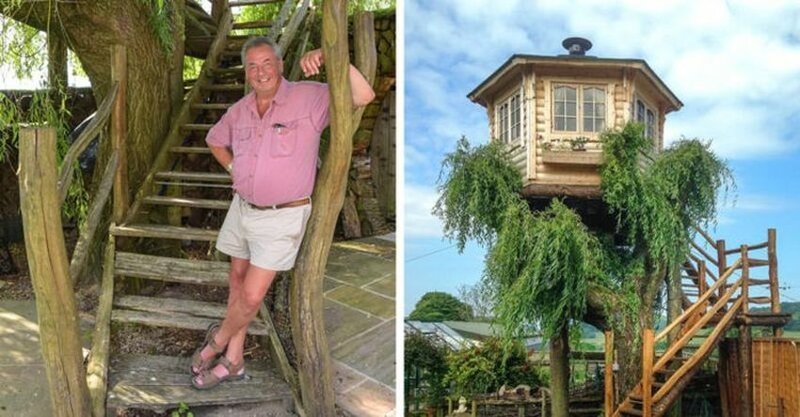 Дедушка решил спилить дерево в саду, но вид оттуда оказался так хорош, что он построил на нём домик (10 фото)