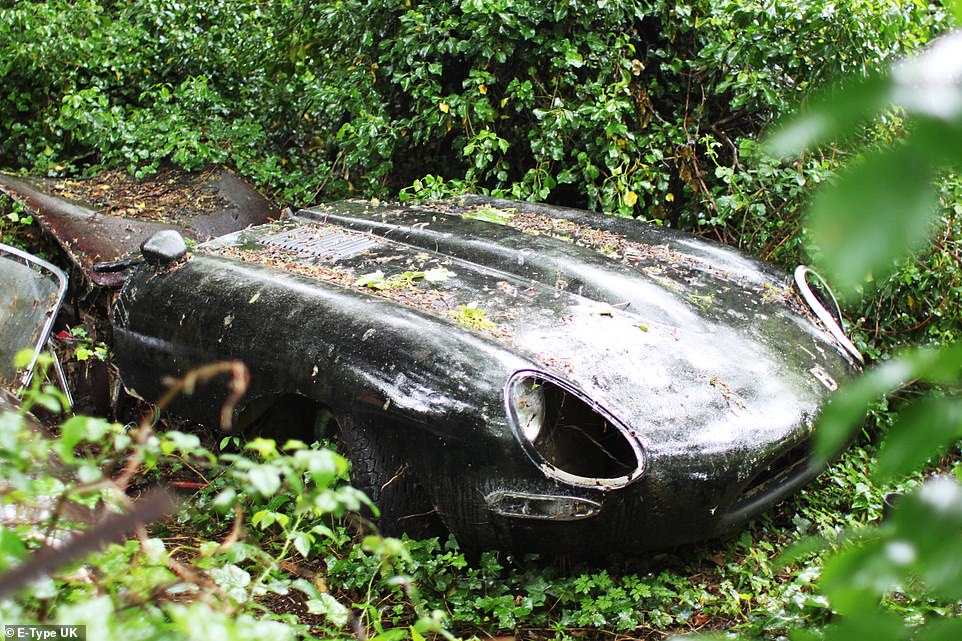 Возрождение винтажного Jaguar, который 30 лет гнил в зарослях (20 фото)