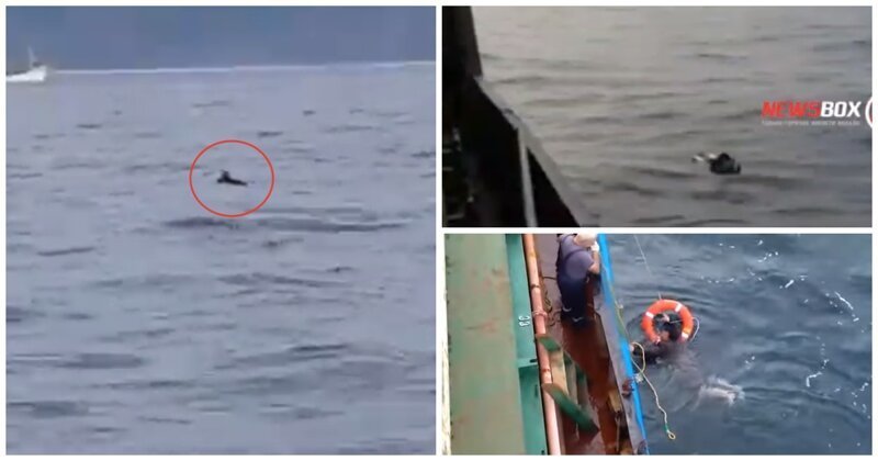 Российские моряки в Приморье спасли иностранца, дрейфовавшего на пенопласте (1 фото + 2 видео)
