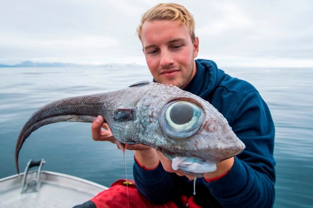 Студент из Норвегии отправился на рыбалку и выловил нечто инопланетное (2 фото)