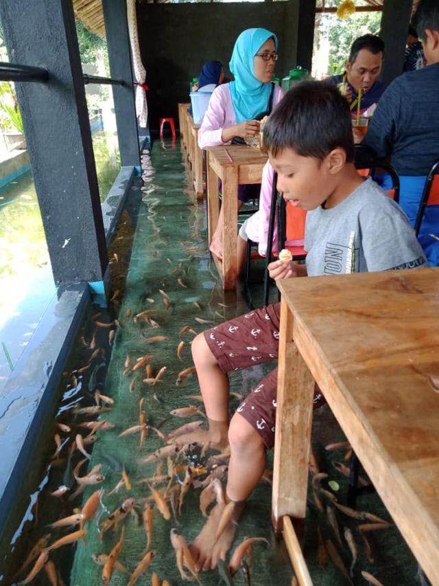 Ресторан-аквариум в Индонезии (6 фото)