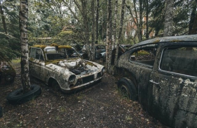 Кладбище ретро-автомобилей в лесу Швеции (20 фото)