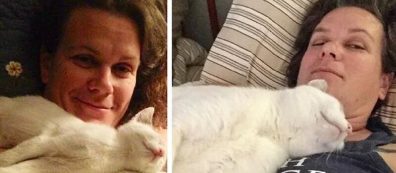 До и после: трогательные фото кошек, обретших дом (31 фото)