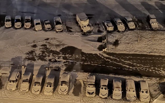 Художник решил поиздеваться над машинами в Шушарах (4 фото)