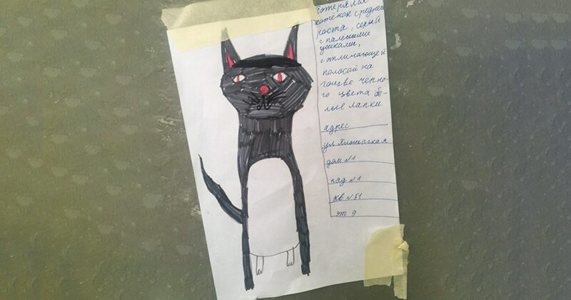 Девочка нарисовала самый милый фоторобот, чтобы найти пропавшего кота (4 фото)