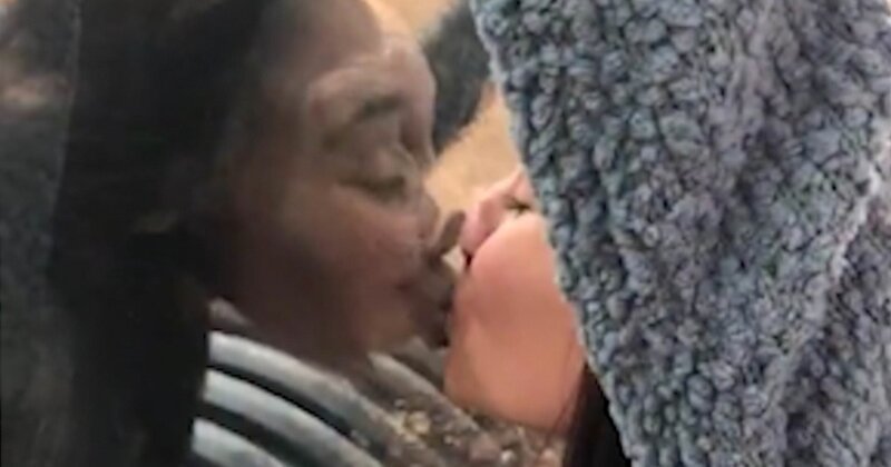 Шимпанзе подарил посетительнице зоопарка поцелуй (2 фото + 1 видео)