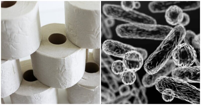Плохо постирали, что ли? Роскачество обнаружило в российской туалетной бумаге бактерии кишечной палочки (4 фото)