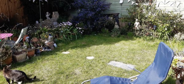 Как разбогатеть на карантине: британка Аманда Джонстон нашла клад XV века в своем саду (5 фото)