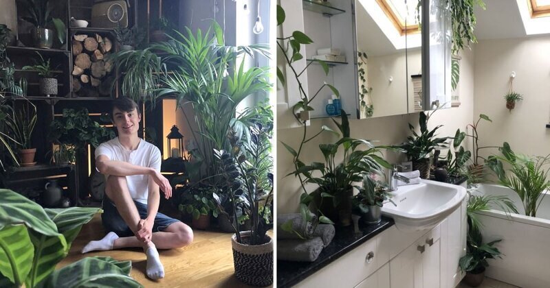 Фанат-садовник превратил квартиру в джунгли (11 фото)
