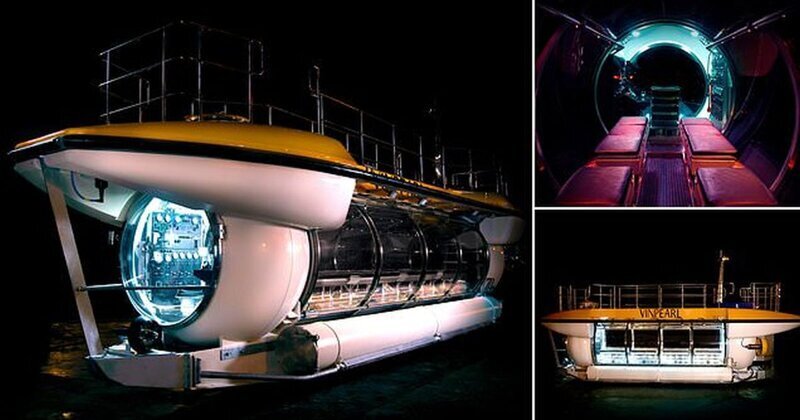 Компания Triton Submarines построила туристическую подводную лодку (6 фото)
