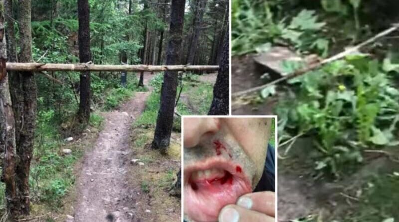 Мужчина получил жуткие травмы, напоровшись на лесной дороге на сучковатое дерево (4 фото)