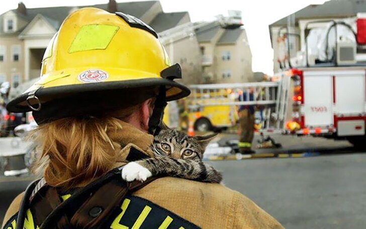 Отважные пожарные, рискнувшие жизнью ради спасения животных (21 фото)