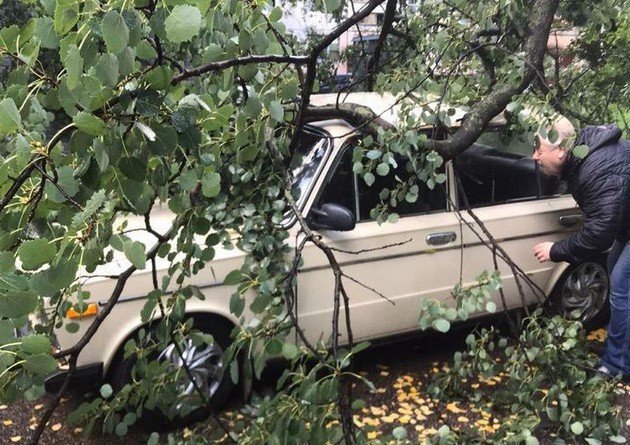 В Петербурге шквальный ветер повалил деревья и снес обшивку с зданий (10 фото + видео)