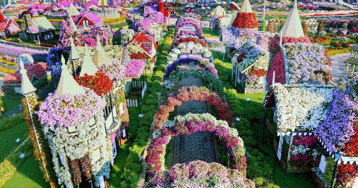 Сад чудес Дубая — крупнейший цветочный сад планеты (10 фото)