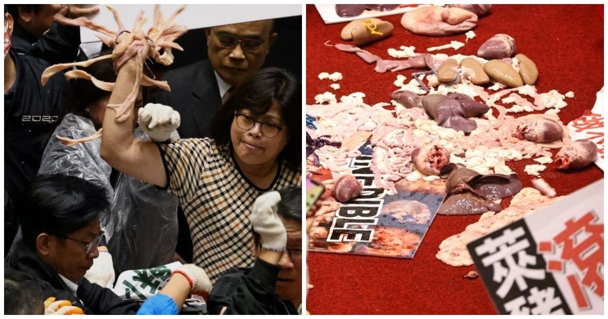 Тайваньские депутаты закидали премьер-министра свиными кишками (4 фото + 1 видео)