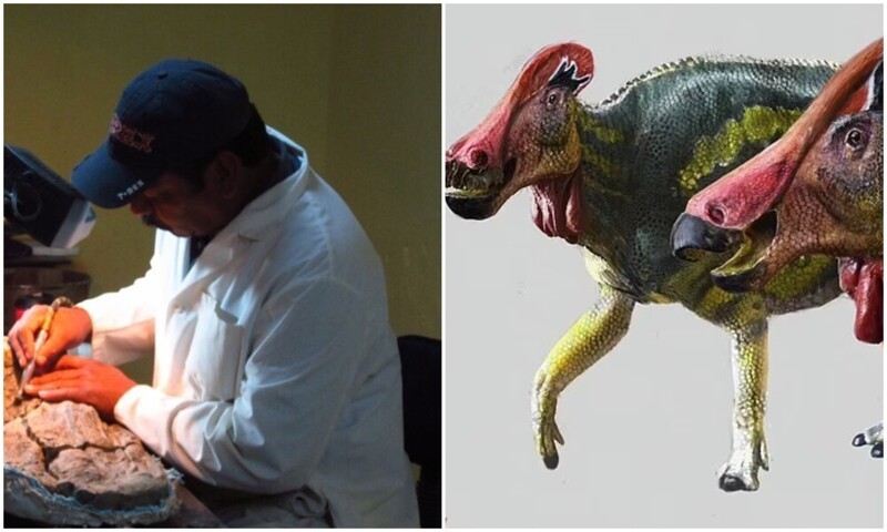 Ученые открыли новый вид динозавра (7 фото)
