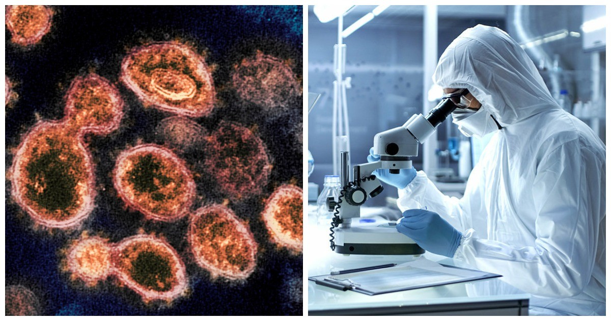 В США рассказали о доказательствах лабораторного происхождения коронавируса (4 фото)
