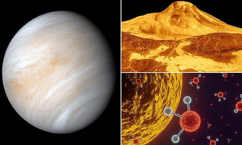 На Венере жизни нет, уверены ученые (5 фото)