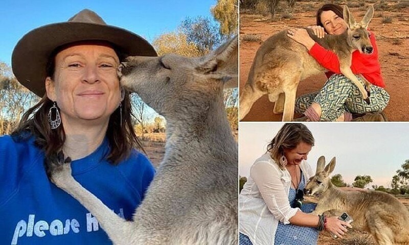 Благодарная кенгуру каждый день обнимает людей, которые ее спасли (6 фото + 1 видео)