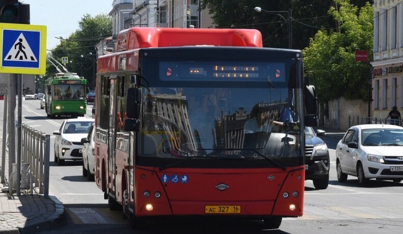 В рейсовом автобусе Казани заметили красавицу в сфере из арбуза на голове (2 фото)