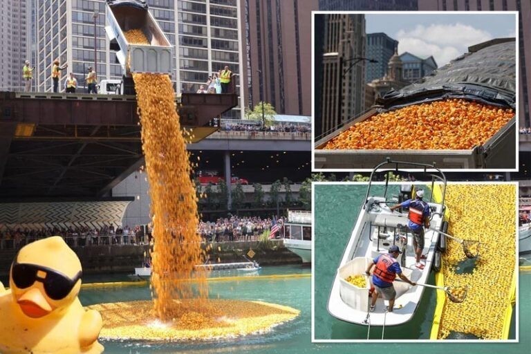 Тем временем В Чикаго: 70 000 резиновых уточек сбросили в реку (5 фото + 1 видео)