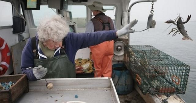 Бабуля эффектно выкинула омара за борт и случайно начала фотошоп-баттл (11 фото)