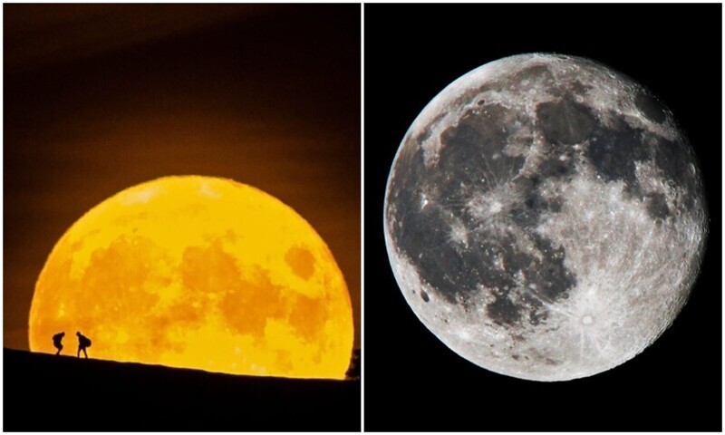 10 фактов о Луне, которые интересно узнать каждому (11 фото)
