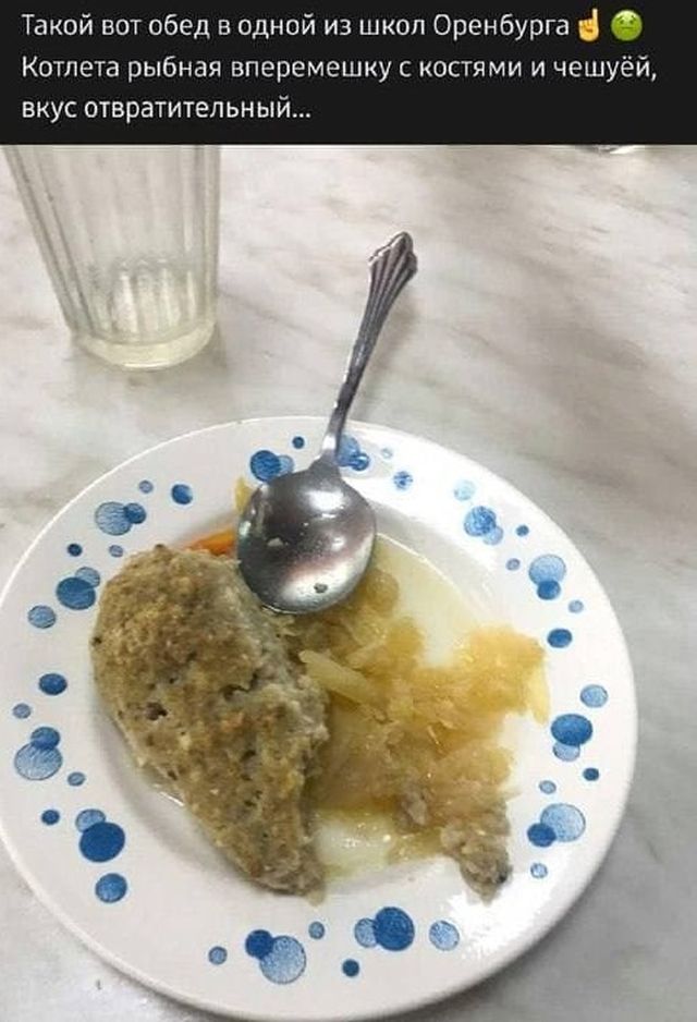 Котлетный скандал: В Оренбурге школьник пожаловался на несъедобную еду и нарвался на критику в Сети (2 фото)