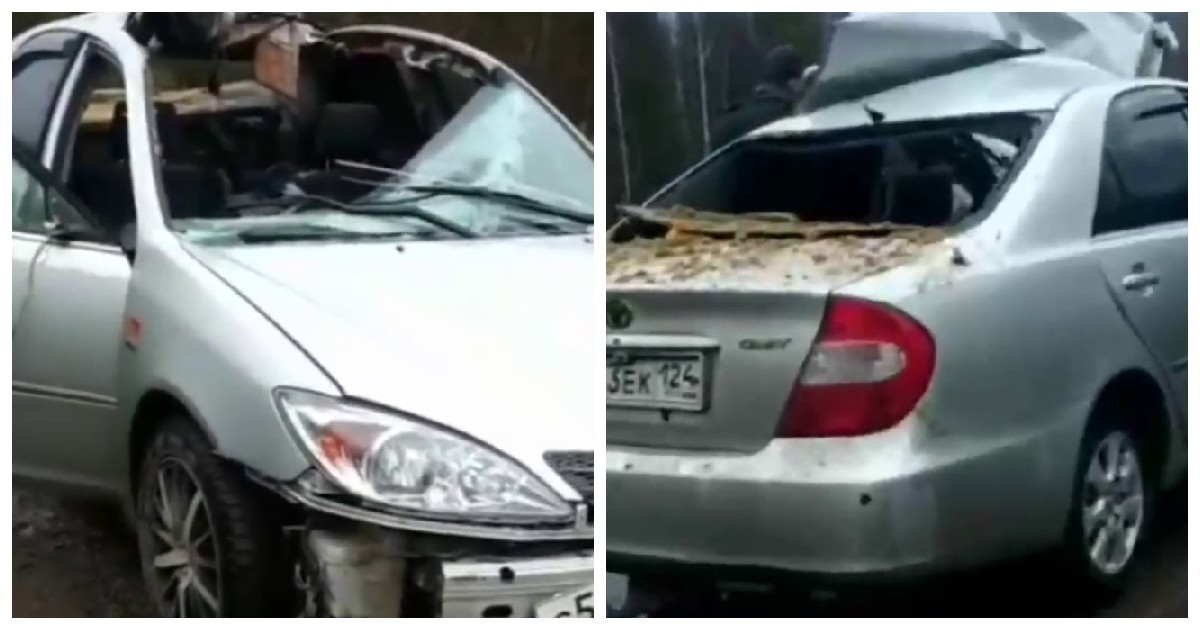 Лось практически навылет прошёл автомобиль Toyota Camry (4 фото + 1 видео)