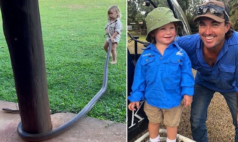 Охотник на крокодилов приучает сына к профессии (5 фото + 1 видео)