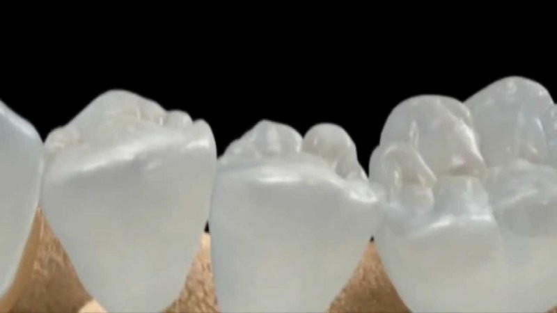 Исследователи нашли средство, которое позволяет вырастить новые зубы (1 фото)
