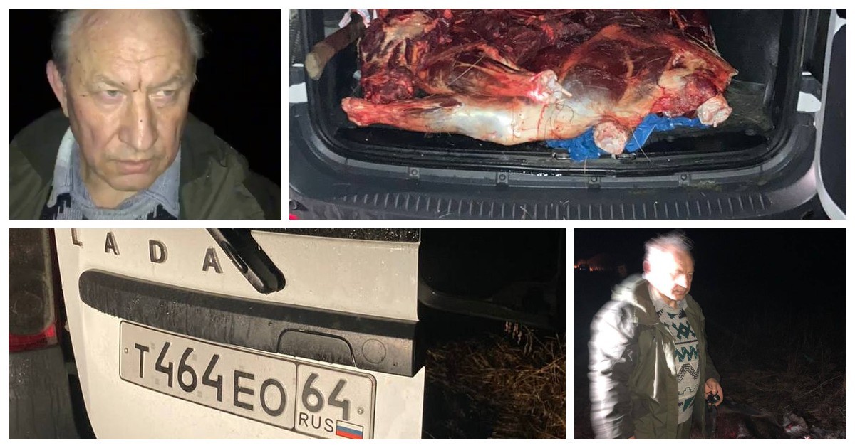 Не виноватая я: в лесу под Саратовом был задержан депутат Госдумы Рашкин с тушей убитого лося (4 фото + 1 видео)