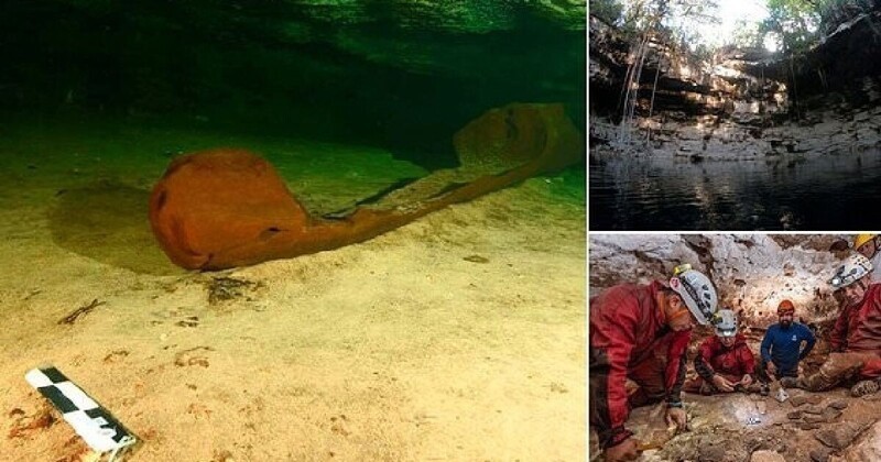Археологи нашли затопленное каноэ майя, которому 1100 лет (9 фото)