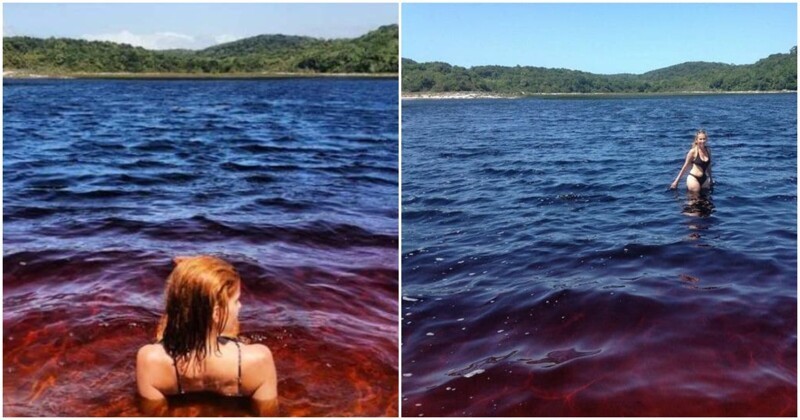 Озеро кока-колы, на которое съезжаются туристы со всего мира (4 фото)