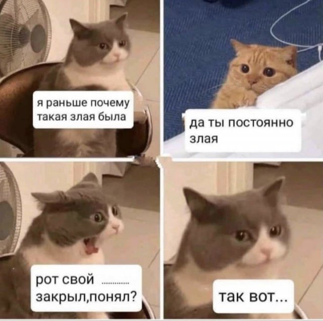Лучшие шутки и мемы из Сети. Выпуск 303