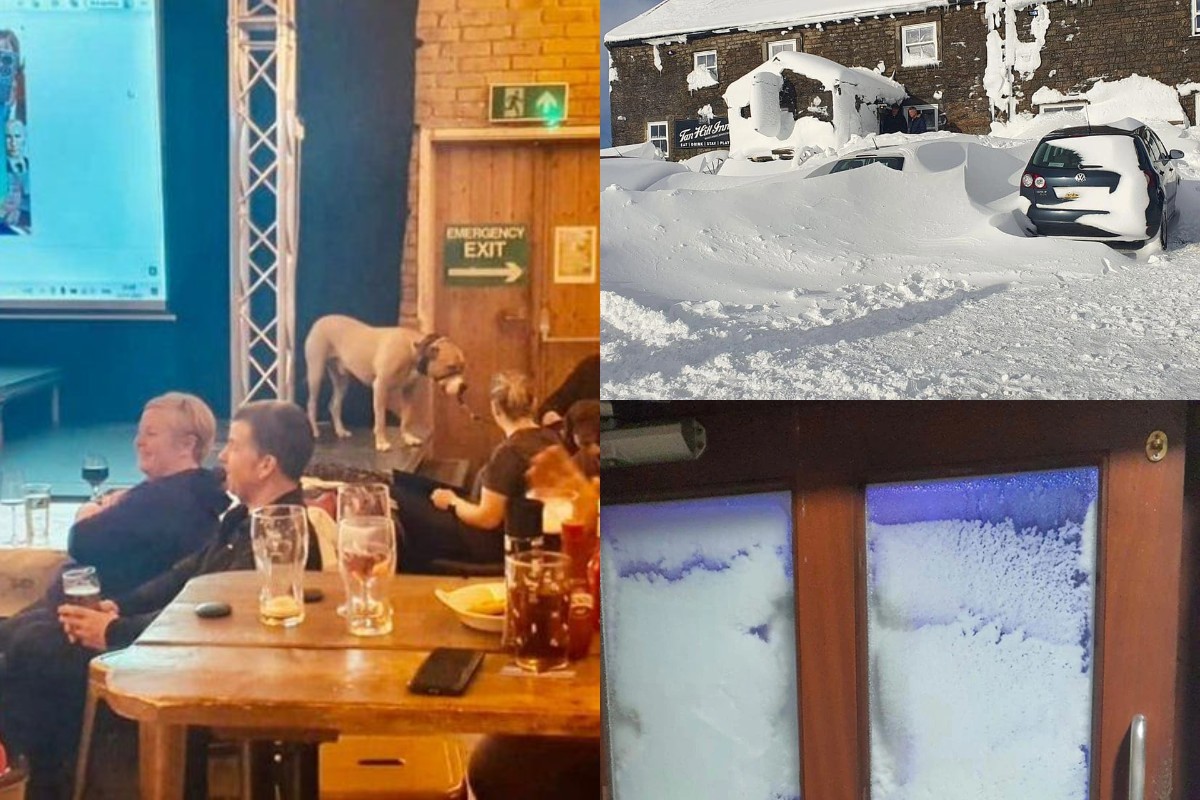 Готовый сценарий для новогодних каникул: десятки британцев провели три дня в пабе, засыпанном снегом (8 фото + 2 видео)