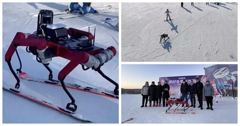 В Китае разработали робота, который умеет кататься на лыжах (5 фото + 1 видео)