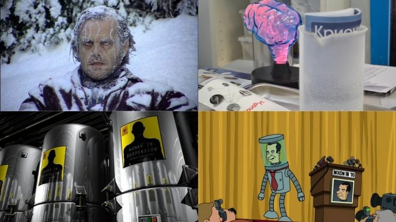 Замороженные на всю голову: как учёные морозят людей на будущее и сколько это стоит (10 фото)