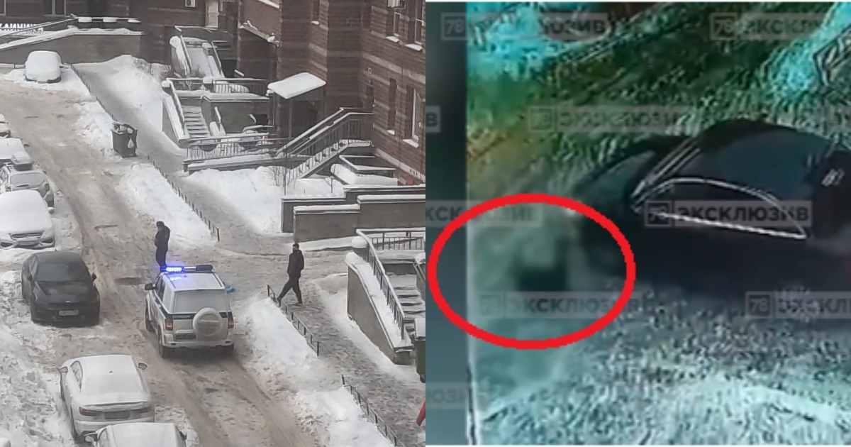 Житель Петербурга выпал из окна на проходившую мимо девочку (4 фото + 1 видео)