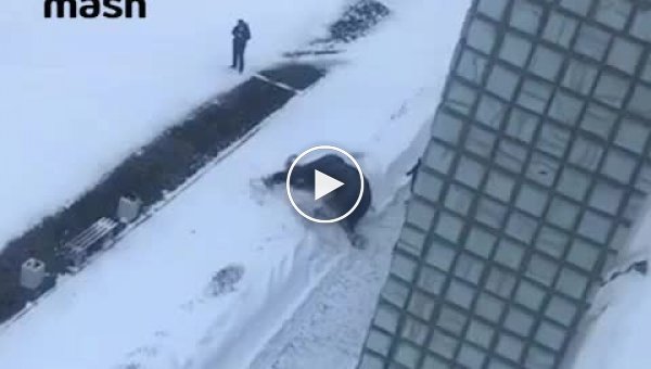 В Екатеринбурге слон искупался в снегу