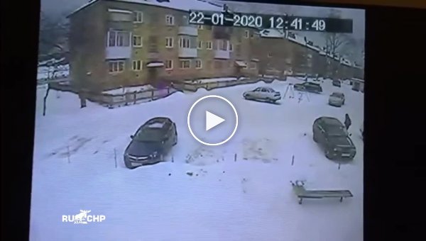 Нападение стаи бродячих собак на школьника в Североуральске