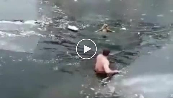 Астраханский житель спас пса, который тонул в ледяной воде