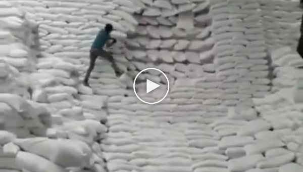 Тем временем на складе риса