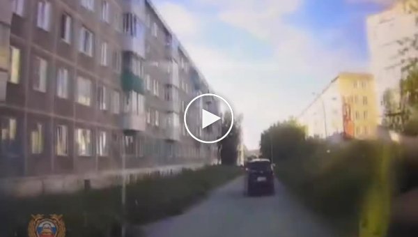 В Красноярском крае девочка выбежала под колеса автомобиля