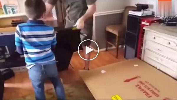 Несносный ребенок, который специально разбил новый телевизор молотком