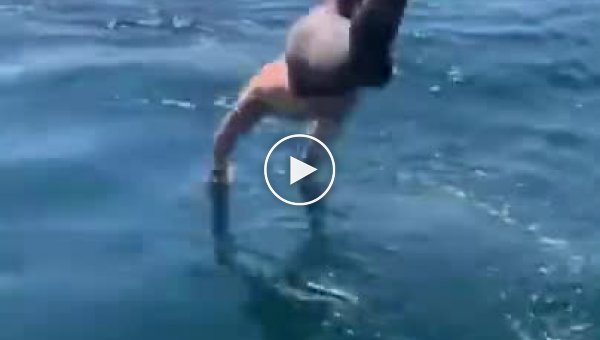 Мужчина решил поплавать рядом с акулой и чуть не пожалел об этом